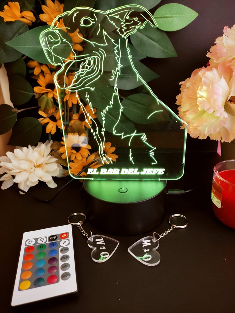 Lámpara personalizada con el dibujo de un perro y su nombre, encendida en verde